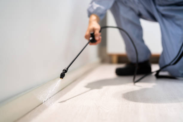 Licensed Pest Control service in Mellette County County, SD - Nex Pest Control